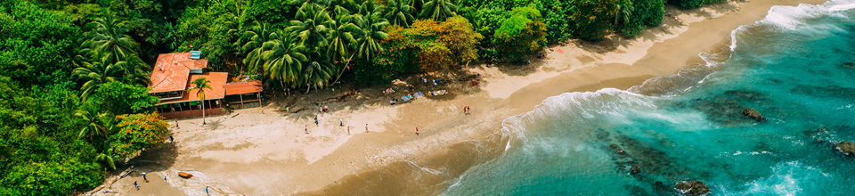 Une destination balnéaire avec une plage de sable, des palmiers et une eau bleue et limpide.